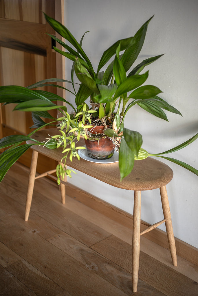 CURLY SIDE TABLE