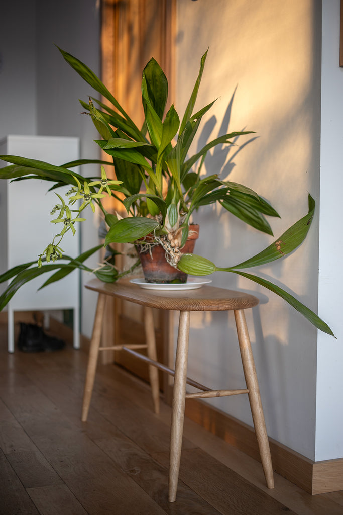 CURLY SIDE TABLE
