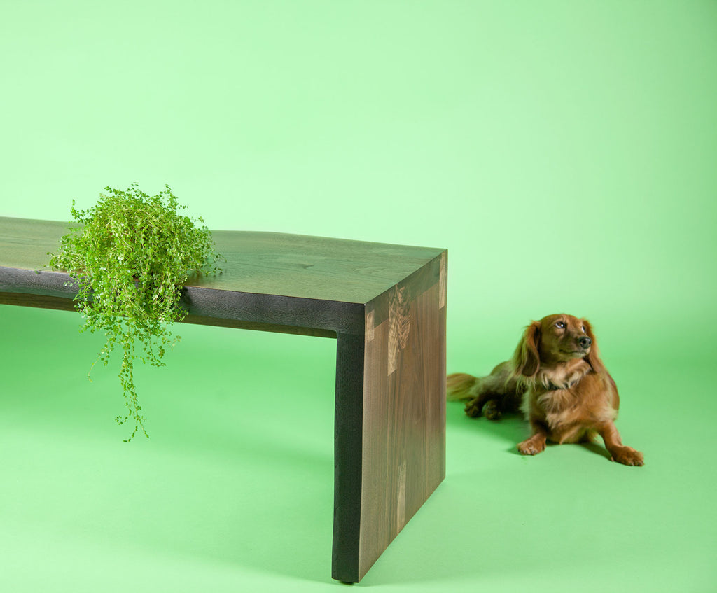 LIVE EDGE BENCH